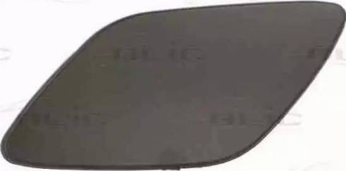 BLIC 5513-00-0062925P - Cover, bumper www.parts5.com