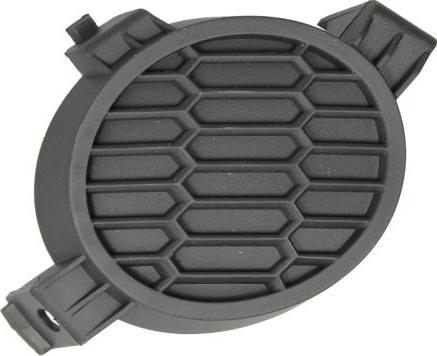 BLIC 5513-00-1609998P - Grila ventilatie, bara protectie www.parts5.com