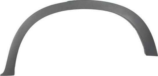 BLIC 5703-04-0096595P - Trim / Protective Strip, wing www.parts5.com