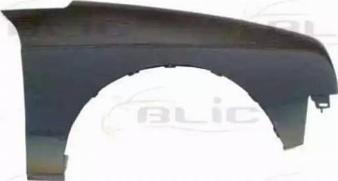 BLIC 6504-04-0516314P - Wing www.parts5.com