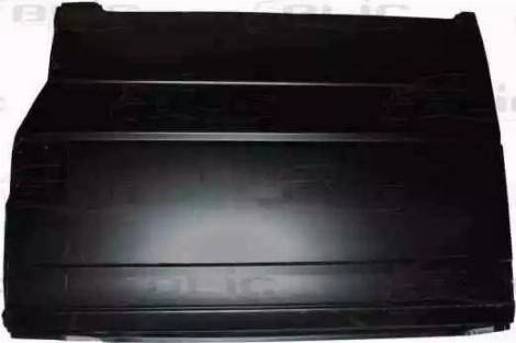 BLIC 6505-06-9558011P - Panel lateral www.parts5.com