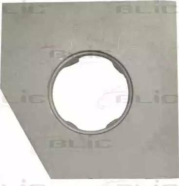 BLIC 6508025051525P - Sidewall www.parts5.com