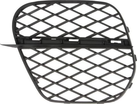 BLIC 6502-07-0096925P - Ventilation Grille, bumper www.parts5.com