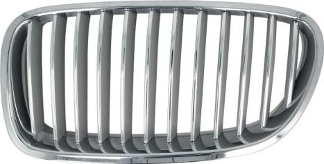 BLIC 6502-07-0067995P - Radiator Grille parts5.com