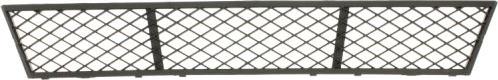 BLIC 6502-07-0067910P - Ventilation Grille, bumper parts5.com