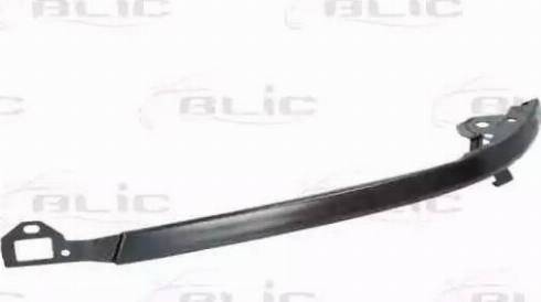 BLIC 6502078143211P - Headlight Trim www.parts5.com