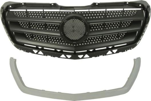 BLIC 6502-07-3548992P - Grila radiator www.parts5.com