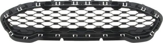 BLIC 6502-07-2566999P - Grila radiator www.parts5.com