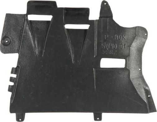 BLIC 6601-02-9008879P - Engine Cover www.parts5.com