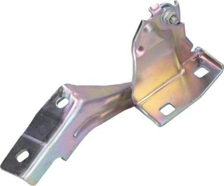 BLIC 6003-00-0385P - Balama, capota motor www.parts5.com