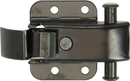 BLIC 6010-01-047431T - Door Catch parts5.com