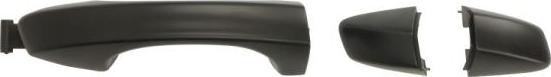 BLIC 6010-01-061402P - Door Handle parts5.com