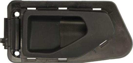 BLIC 6010-08-005409P - Door Handle www.parts5.com