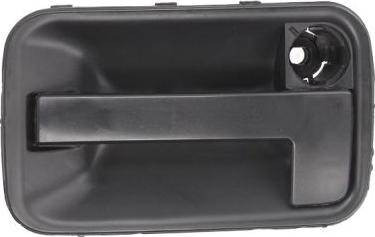 BLIC 6010-08-002410P - Door Handle www.parts5.com