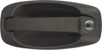 BLIC 6010-07-043401P - Door Handle www.parts5.com