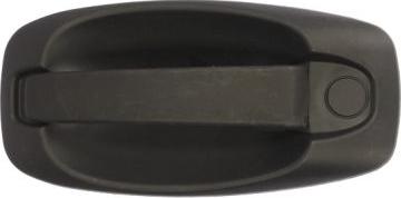 BLIC 6010-07-043402P - Door Handle www.parts5.com