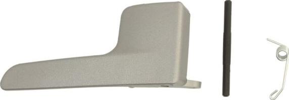 BLIC 6010-10-010408PPP - Door Handle www.parts5.com