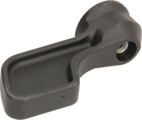 BLIC 6010-30-003419P - Door Handle www.parts5.com