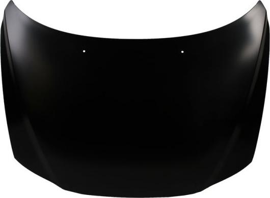 BLIC 6803-00-9021280P - Bonnet, hood www.parts5.com