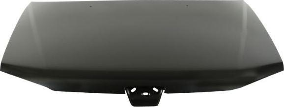 BLIC 6803-00-5513281P - Bonnet, hood www.parts5.com