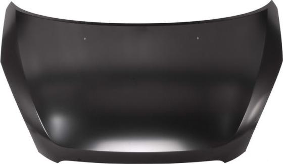 BLIC 6803-00-6832280P - Bonnet, hood www.parts5.com