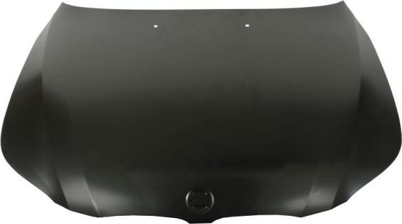 BLIC 6803-00-0066280P - Bonnet, hood parts5.com