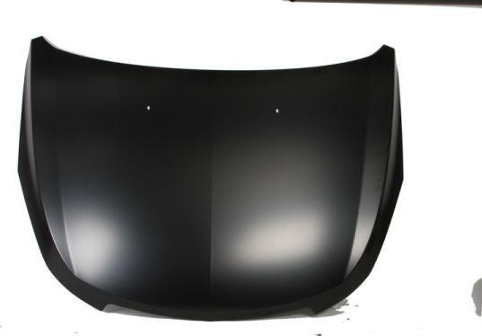 BLIC 6803-00-1133280P - Bonnet, hood parts5.com