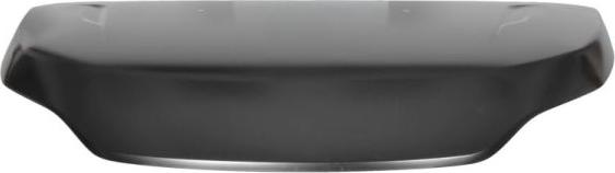 BLIC 6803-00-3083280P - Bonnet, hood www.parts5.com