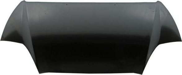 BLIC 6803-00-3159280P - Bonnet, hood www.parts5.com