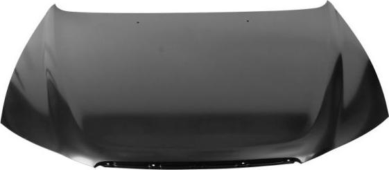 BLIC 6803-00-3169280P - Bonnet, hood www.parts5.com