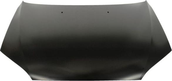 BLIC 6803-00-2555280P - Bonnet, hood parts5.com