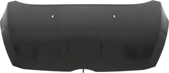 BLIC 6803-00-2539280P - Bonnet, hood www.parts5.com