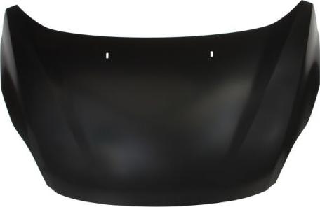 BLIC 6803-00-2535280P - Bonnet, hood parts5.com