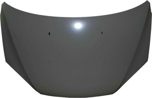 BLIC 6803-00-2533280P - Bonnet, hood www.parts5.com