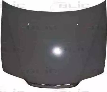 BLIC 6803-00-2007280P - Bonnet, hood www.parts5.com