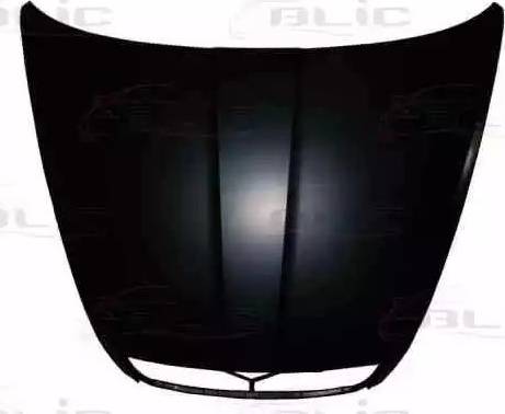 BLIC 6803-00-7521280P - Bonnet, hood parts5.com