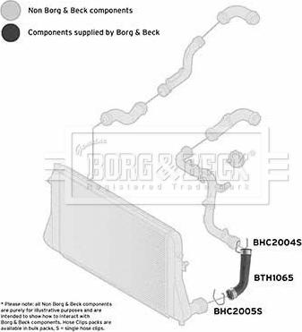 Borg & Beck BTH1065 - Furtun ear supraalimentare www.parts5.com