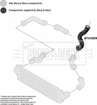 Borg & Beck BTH1089 - Furtun ear supraalimentare www.parts5.com