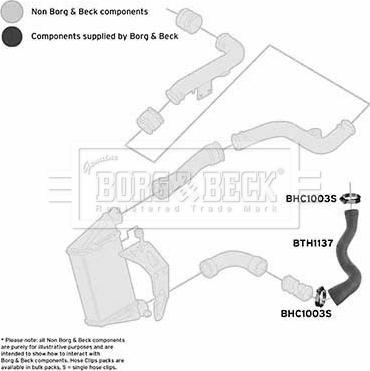 Borg & Beck BTH1137 - Furtun ear supraalimentare parts5.com