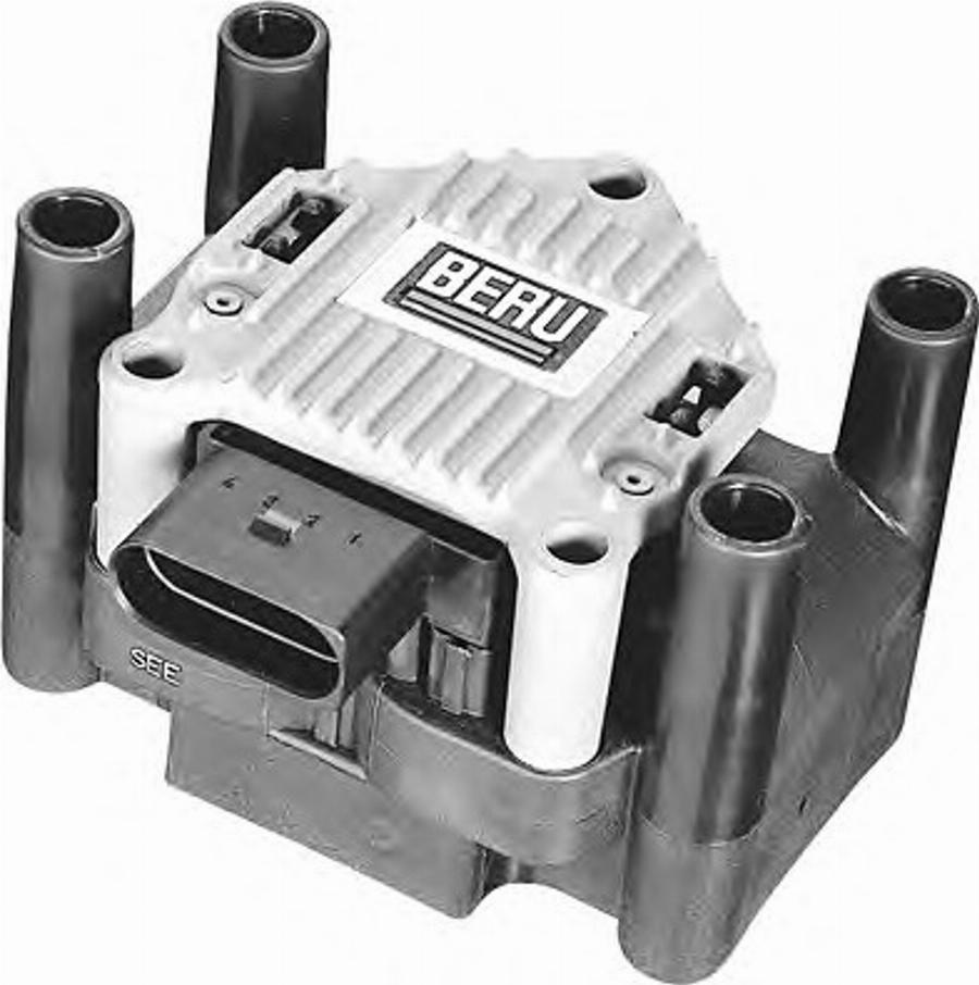 BorgWarner (BERU) 0040100047 - Ignition Coil www.parts5.com