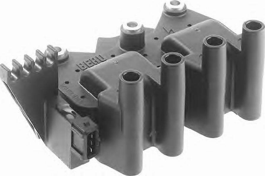 BorgWarner (BERU) 0 040 100 029 - Ignition Coil www.parts5.com