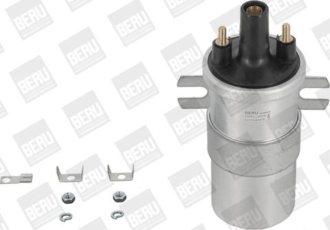 BorgWarner (BERU) ZS563 - Катушка зажигания www.parts5.com