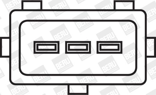 BorgWarner (BERU) ZS029 - Ignition Coil www.parts5.com