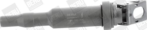 BorgWarner (BERU) ZS324 - Ignition Coil www.parts5.com