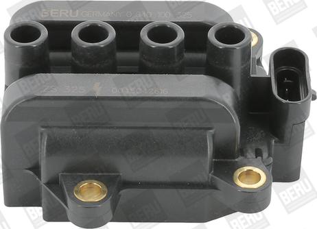 BorgWarner (BERU) ZS325 - Ateşleme bobini www.parts5.com