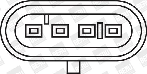 BorgWarner (BERU) ZS325 - Ateşleme bobini www.parts5.com