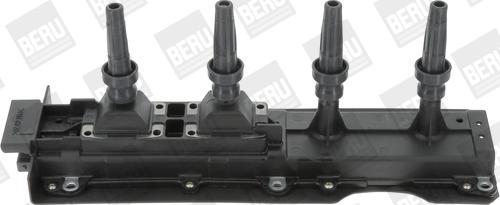 BorgWarner (BERU) ZS256 - Ignition Coil www.parts5.com