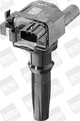 BorgWarner (BERU) ZS262 - Ignition Coil www.parts5.com