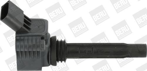 BorgWarner (BERU) ZSE067 - Bobine d'allumage www.parts5.com