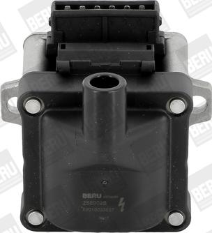 BorgWarner (BERU) ZSE002B - Πολλαπλασιαστής www.parts5.com